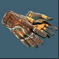 Sport Gloves